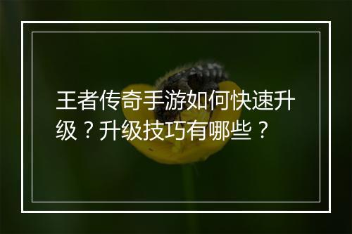 王者传奇手游如何快速升级？升级技巧有哪些？
