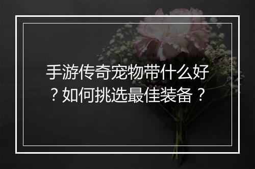 手游传奇宠物带什么好？如何挑选最佳装备？