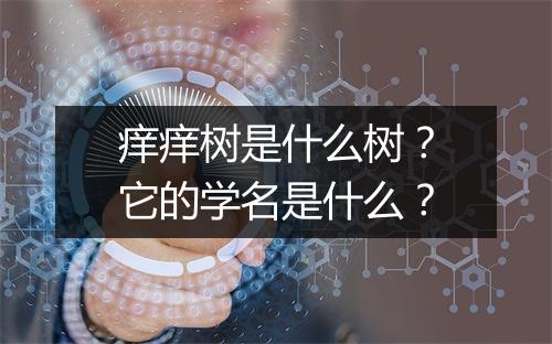 痒痒树是什么树？它的学名是什么？