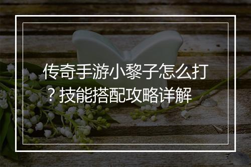 传奇手游小黎子怎么打？技能搭配攻略详解