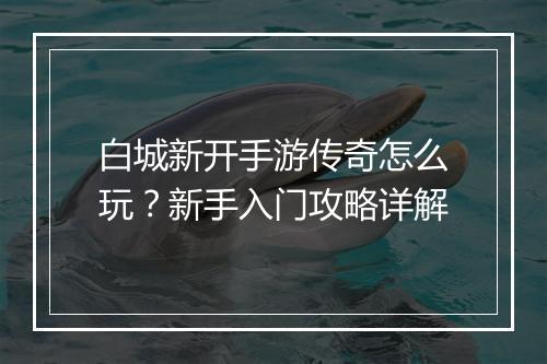 白城新开手游传奇怎么玩？新手入门攻略详解