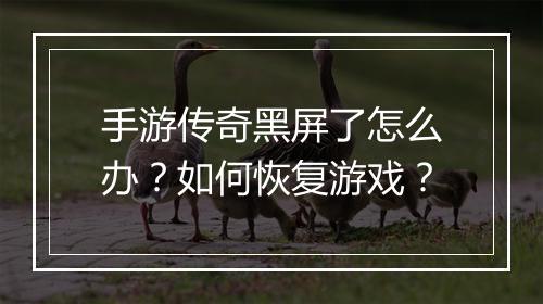 手游传奇黑屏了怎么办？如何恢复游戏？