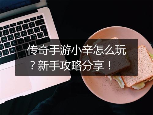 传奇手游小辛怎么玩？新手攻略分享！