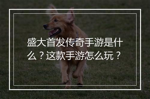 盛大首发传奇手游是什么？这款手游怎么玩？