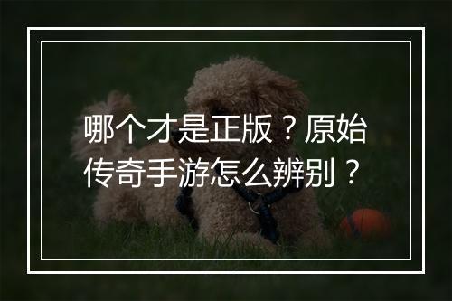 哪个才是正版？原始传奇手游怎么辨别？