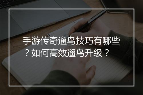 手游传奇遛鸟技巧有哪些？如何高效遛鸟升级？