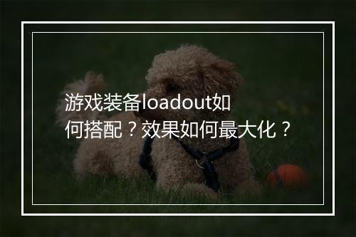 游戏装备loadout如何搭配？效果如何最大化？