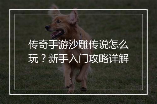 传奇手游沙雕传说怎么玩？新手入门攻略详解