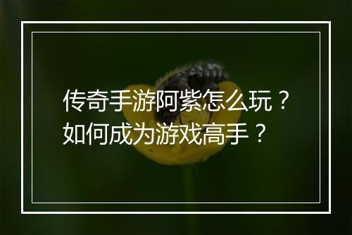 传奇手游阿紫怎么玩？如何成为游戏高手？