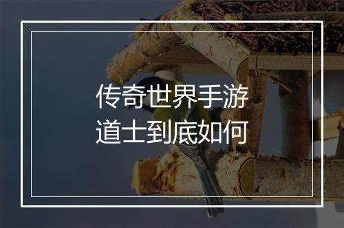 传奇世界手游道士到底如何