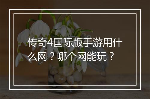 传奇4国际版手游用什么网？哪个网能玩？