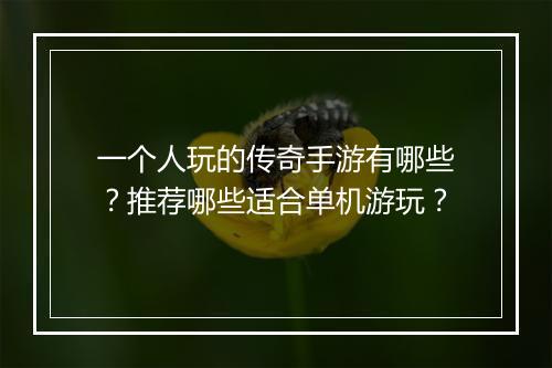 一个人玩的传奇手游有哪些？推荐哪些适合单机游玩？