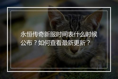 永恒传奇新服时间表什么时候公布？如何查看最新更新？