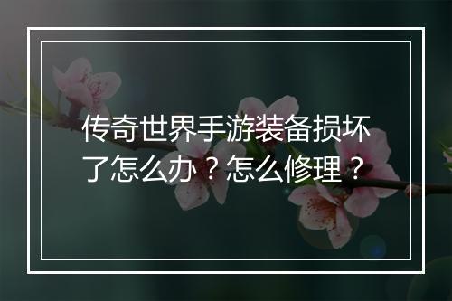 传奇世界手游装备损坏了怎么办？怎么修理？
