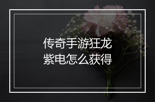 传奇手游狂龙紫电怎么获得