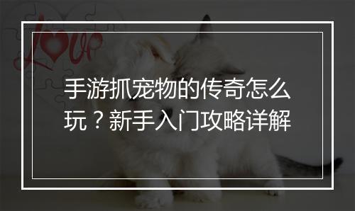 手游抓宠物的传奇怎么玩？新手入门攻略详解
