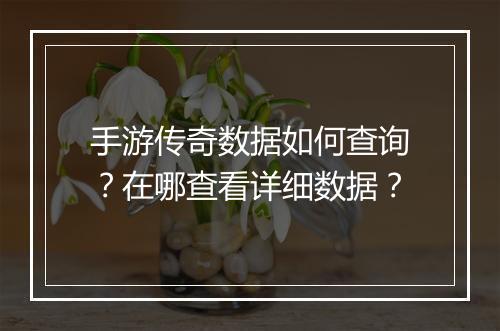 手游传奇数据如何查询？在哪查看详细数据？