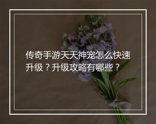 传奇手游天天神宠怎么快速升级？升级攻略有哪些？