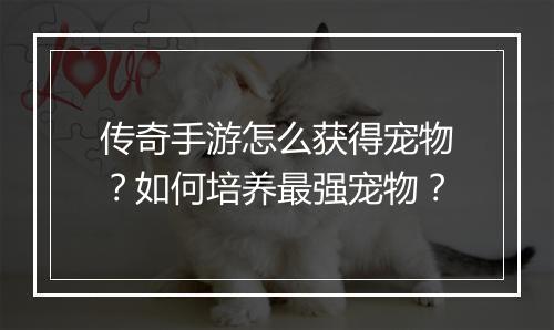 传奇手游怎么获得宠物？如何培养最强宠物？