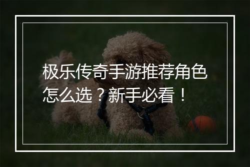 极乐传奇手游推荐角色怎么选？新手必看！