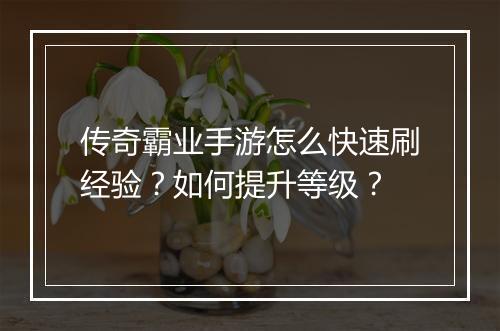传奇霸业手游怎么快速刷经验？如何提升等级？