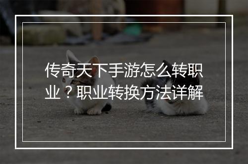 传奇天下手游怎么转职业？职业转换方法详解