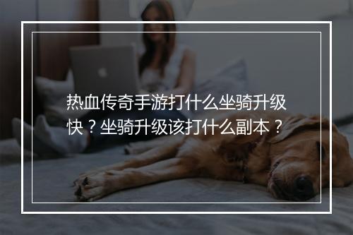 热血传奇手游打什么坐骑升级快？坐骑升级该打什么副本？
