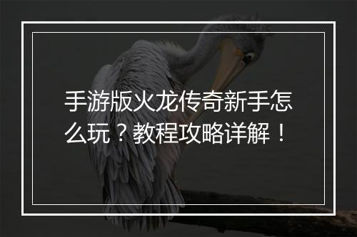 手游版火龙传奇新手怎么玩？教程攻略详解！