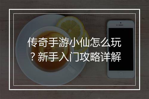 传奇手游小仙怎么玩？新手入门攻略详解