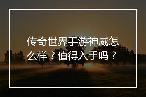 传奇世界手游神威怎么样？值得入手吗？