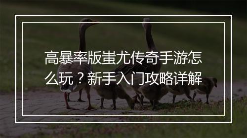 高暴率版蚩尤传奇手游怎么玩？新手入门攻略详解