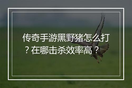 传奇手游黑野猪怎么打？在哪击杀效率高？