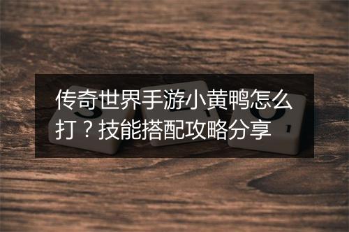 传奇世界手游小黄鸭怎么打？技能搭配攻略分享