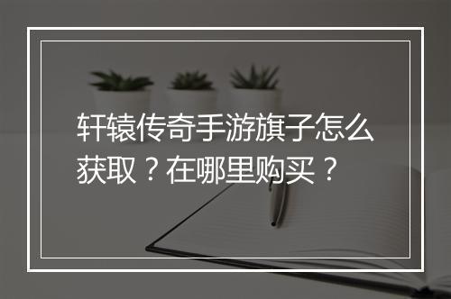 轩辕传奇手游旗子怎么获取？在哪里购买？