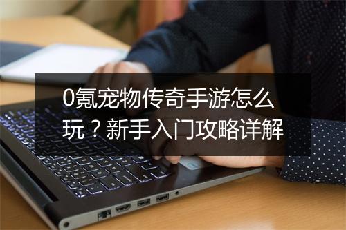 0氪宠物传奇手游怎么玩？新手入门攻略详解
