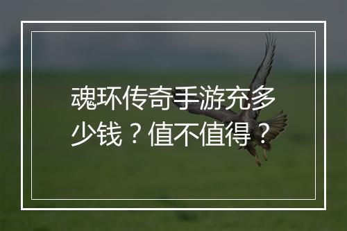 魂环传奇手游充多少钱？值不值得？