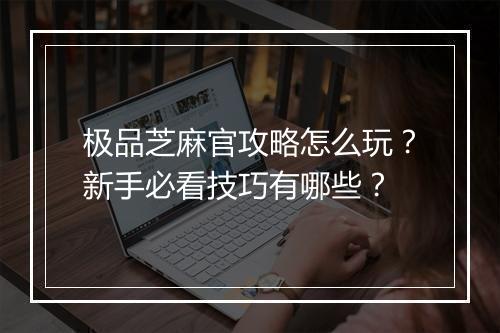 极品芝麻官攻略怎么玩？新手必看技巧有哪些？