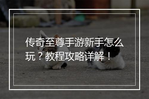 传奇至尊手游新手怎么玩？教程攻略详解！