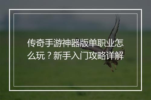 传奇手游神器版单职业怎么玩？新手入门攻略详解