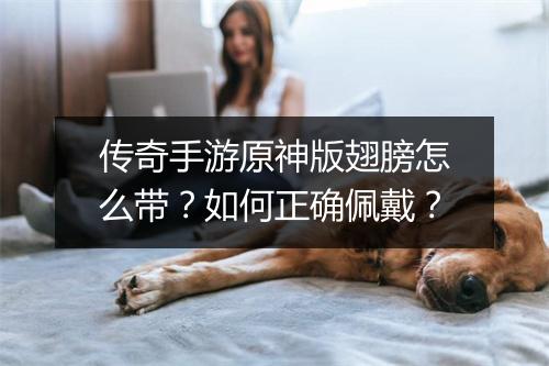 传奇手游原神版翅膀怎么带？如何正确佩戴？