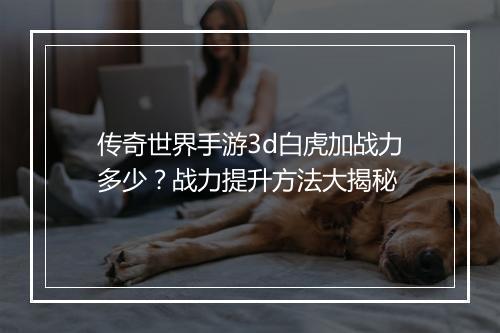 传奇世界手游3d白虎加战力多少？战力提升方法大揭秘