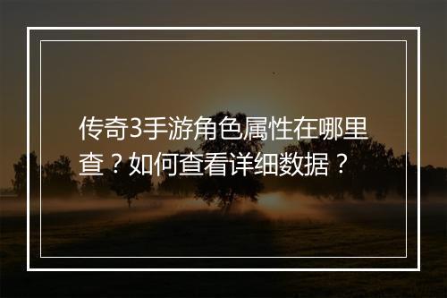 传奇3手游角色属性在哪里查？如何查看详细数据？