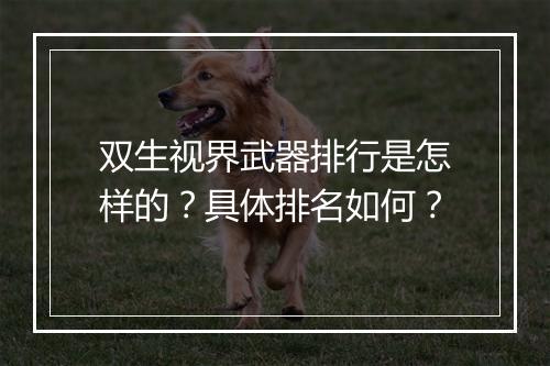 双生视界武器排行是怎样的？具体排名如何？