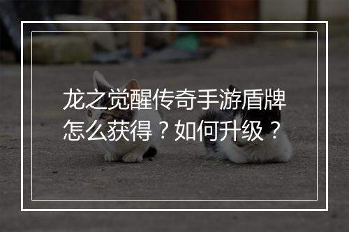 龙之觉醒传奇手游盾牌怎么获得？如何升级？