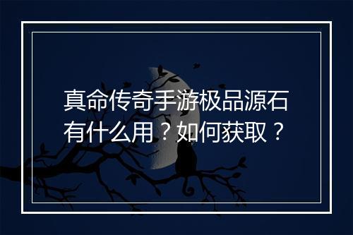 真命传奇手游极品源石有什么用？如何获取？