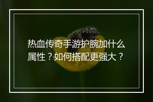 热血传奇手游护腕加什么属性？如何搭配更强大？