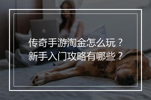 传奇手游淘金怎么玩？新手入门攻略有哪些？