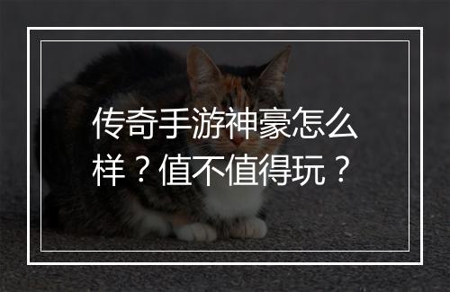 传奇手游神豪怎么样？值不值得玩？
