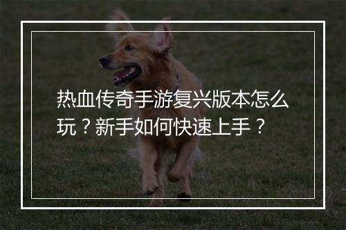热血传奇手游复兴版本怎么玩？新手如何快速上手？