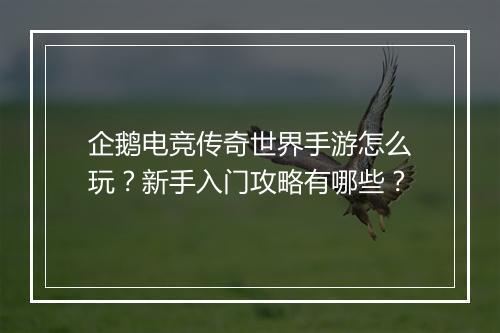 企鹅电竞传奇世界手游怎么玩？新手入门攻略有哪些？